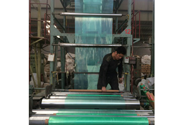 大姜地膜 大姜地膜